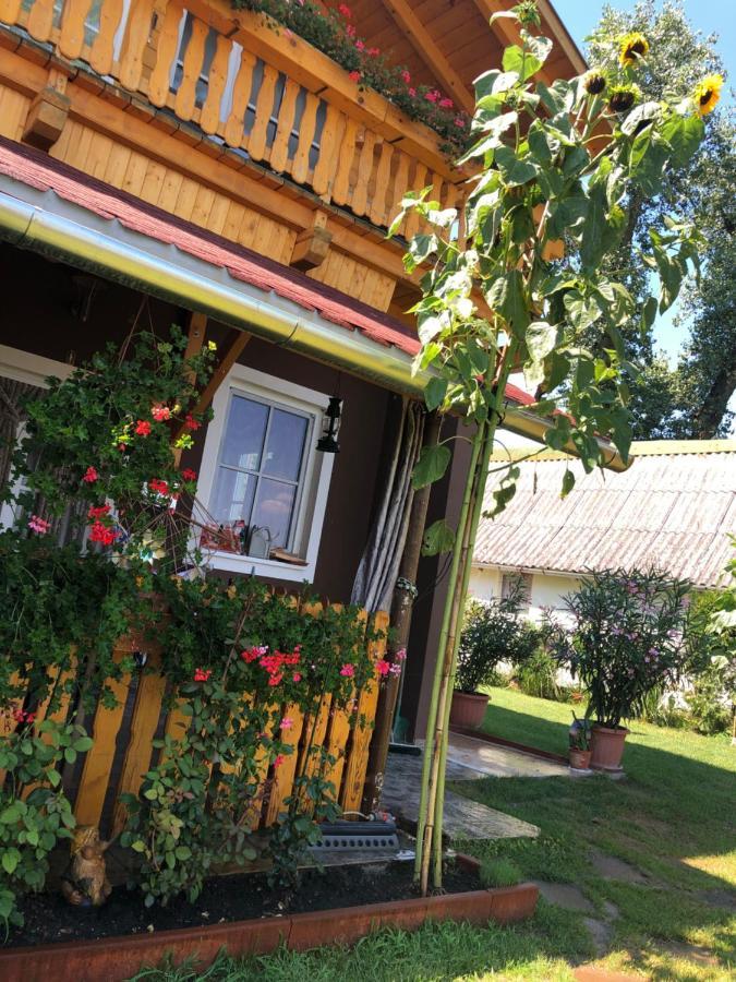 Hero 4 Sterne Ferienhaus Baja Ngoại thất bức ảnh